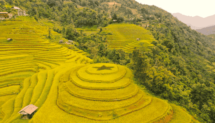 Nam Khoa